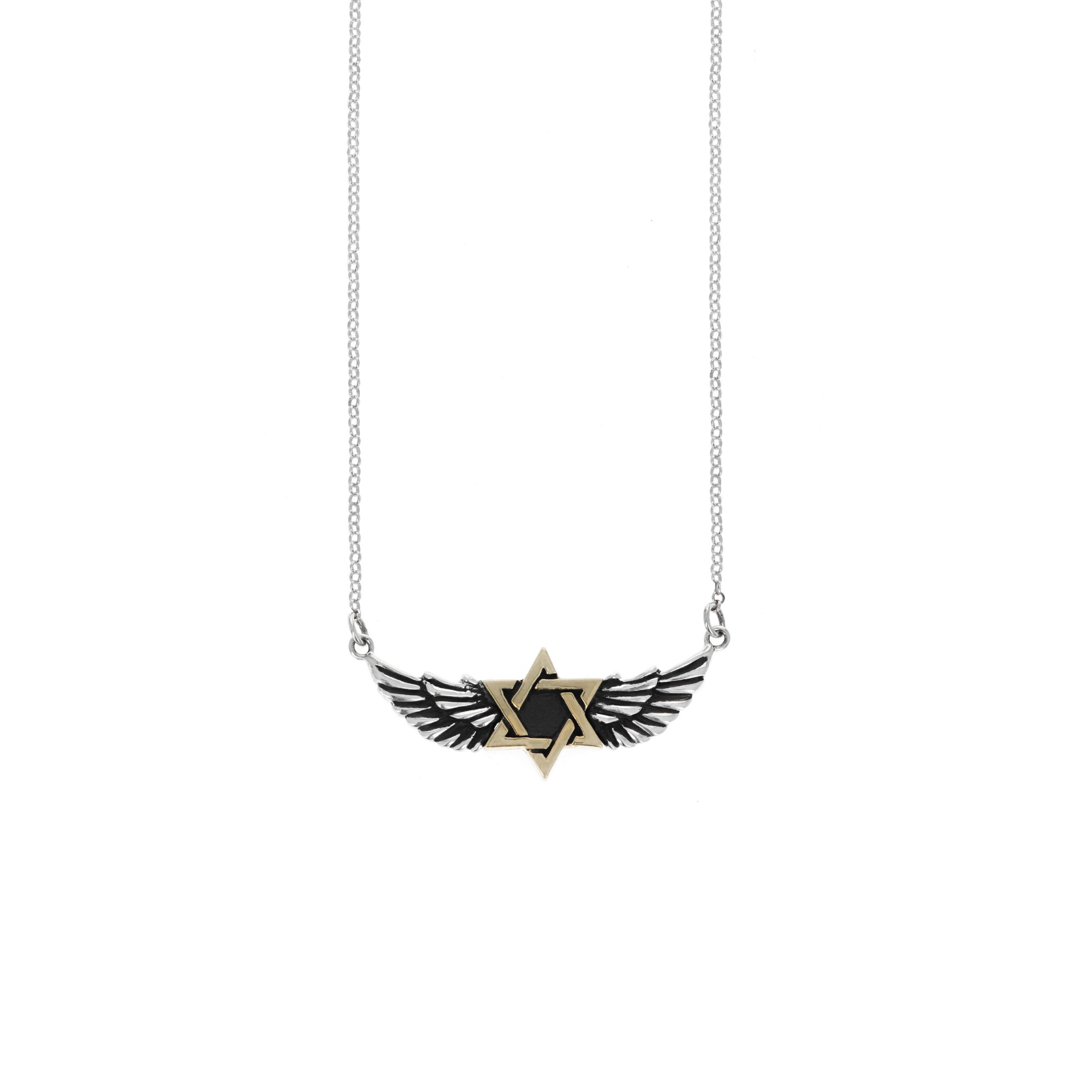 Winged Star of David Necklace