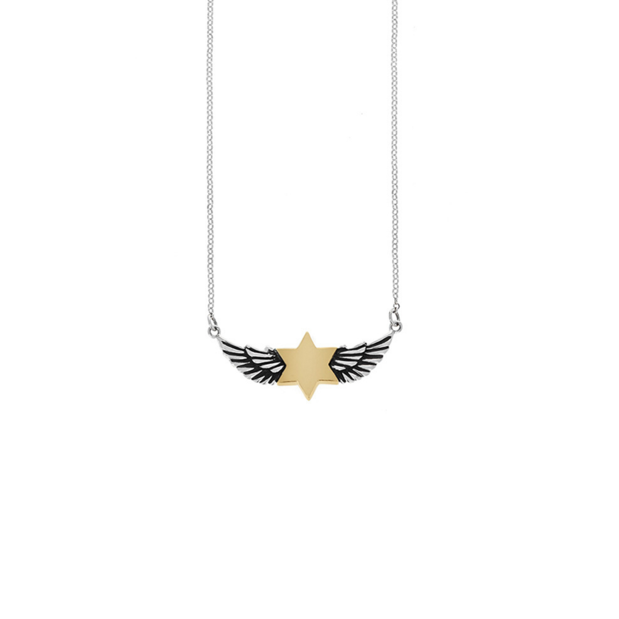 Winged Star of David Necklace