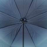 Blue Swarovski Umbrella