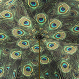 Peacock Umbrella
