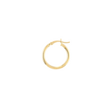 Gold Hoop Earrings