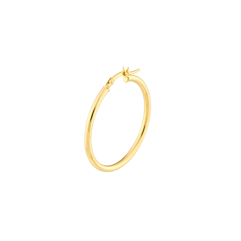 Gold Hoop Earrings