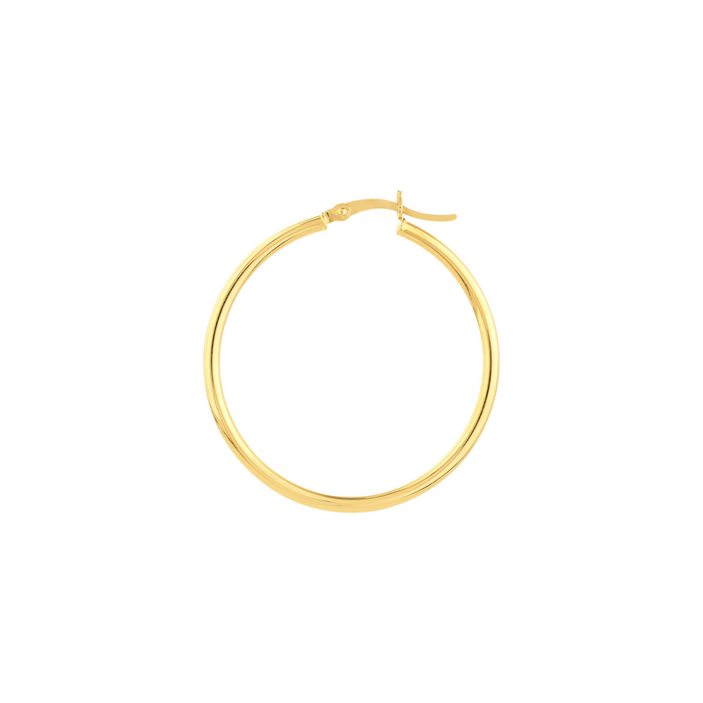 Gold Hoop Earrings
