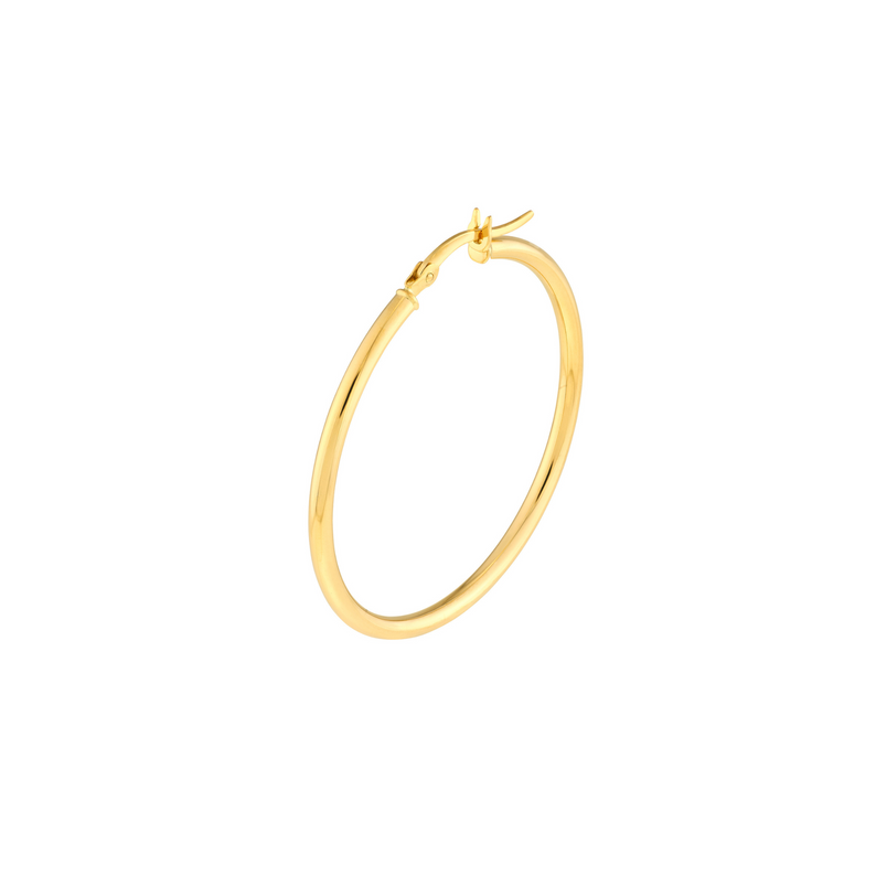 Gold Hoop Earrings