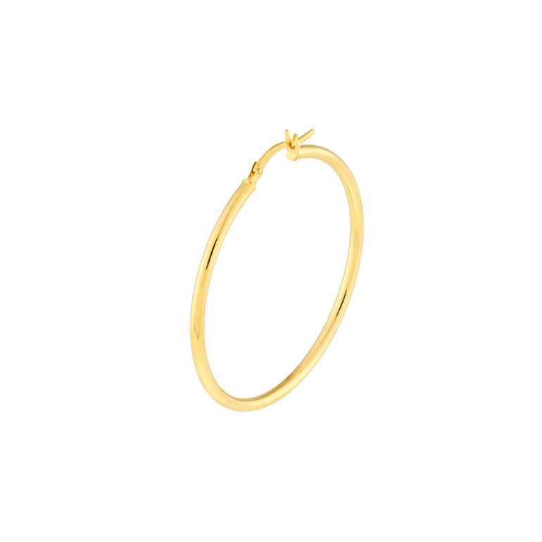 Gold Hoop Earrings