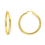 Gold Hoop Earrings