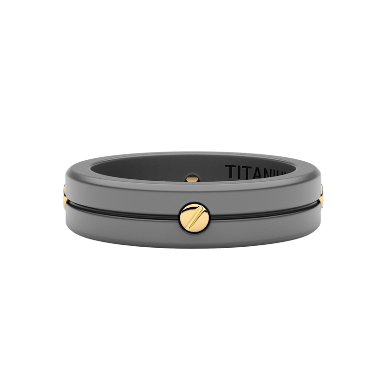 Titanium Ring with 18kt Yellow Gold Screws and Black Channel