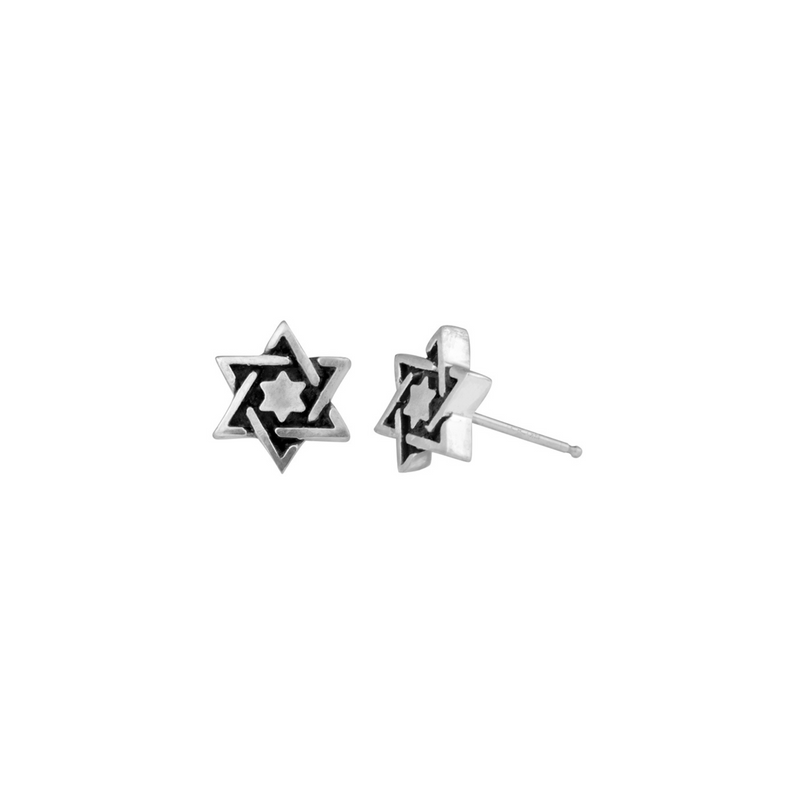 Star of David Post Earrings - Danielle B.