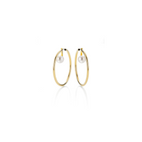 Freshwater Pearl and Gold Earrings