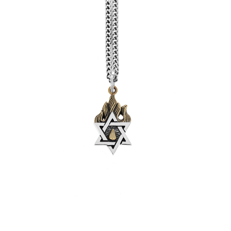Star of David Pendant with Gold Alloy Flames - Danielle B.